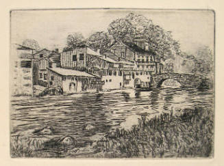 Houses near Stream