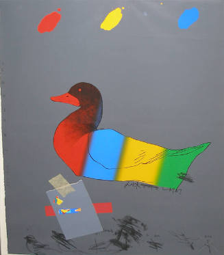 Duck Out of Water