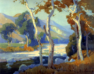 Sycamores