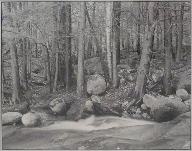 Robin Brown (American, b. 1944) Woods and Water, 1980, gelatin silver print, The Hyde Collectio…
