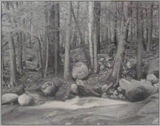 Robin Brown (American, b. 1944) Woods and Water, 1980, gelatin silver print, The Hyde Collectio…