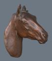 Horse's Head