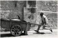 Man with tuna fish in cart at tuna fish factory, Egadi Islands, Sicily, Italy