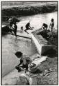 Working and playing in the river, India