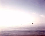 Joel Meyerowitz, American, b. 1938, Bay Sky Series, 1986, vIntage chromogenic contact print, 7 …