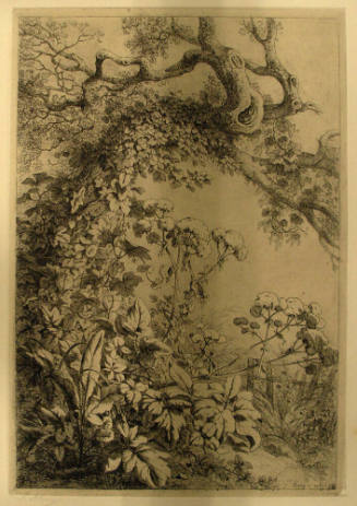 Le Vieux Tronc a l'Angelique (The Old Trunk at Angelique)