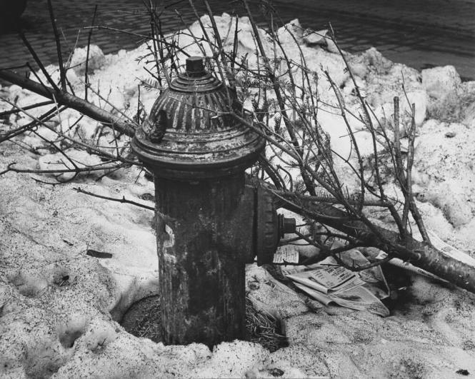 Ilse Bing, American, born Germany,1899-1998, Fire Hydrant, 1954. gelatin silver print, 16 x 20 …