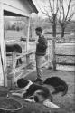 Robert F. Kennedy in stables with dogs, Hyannisport, Massachusetts