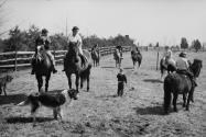 Robert F. Kennedy on horseback with his family, Hyannisport, Massachusetts