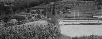 Michael A. Smith, American, b. 1942, Near Camaiore, Tuscany, 1999, vintage gelatin silver print…