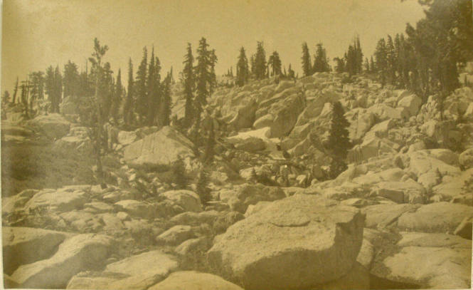 William E. Dassonville, American, 1879-1957, High Sierras,trees, granite, ca. 1930, gelatin sil…
