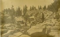 High Sierras, Trees, Granite