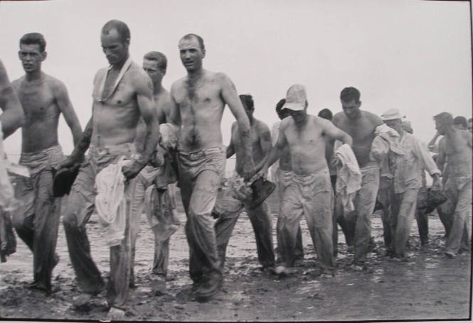 Return from the fields