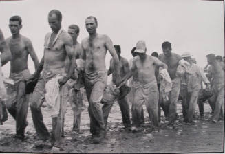 Return from the fields