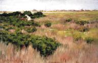 Landscape, near Coney Island