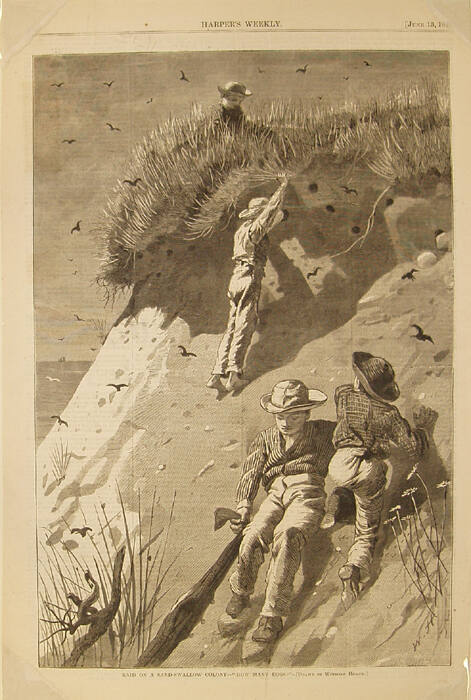 Winslow Homer, American, 1836-1910, "Raid on a Sandswallow Colony-How Many Eggs?", 1874, wood e…