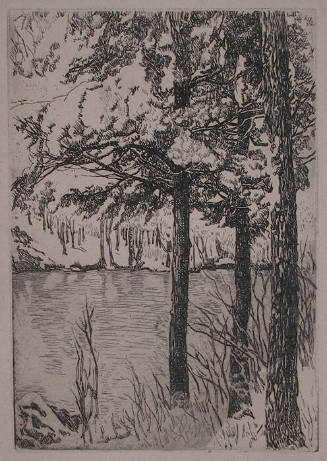Trees by Lake